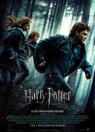 Harry Potter und die Heiligtümer des Todes - Teil 1 (2010)<br><small><i>Harry Potter and the Deathly Hallows: Part I</i></small>