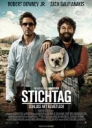 Stichtag (2010)<br><small><i>Due Date</i></small>