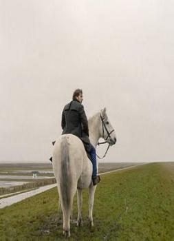 Der Schimmelreiter (2026)<br><small><i>Der Schimmelreiter</i></small>