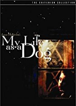 Mein Leben als Hund