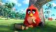 Ausschnitt aus dem Film - Angry Birds - Der Film