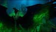 Ausschnitt aus dem Film - Maleficent 2: Mistress of Evil