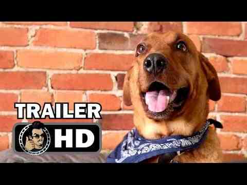 Dog by Dog - trailer 1