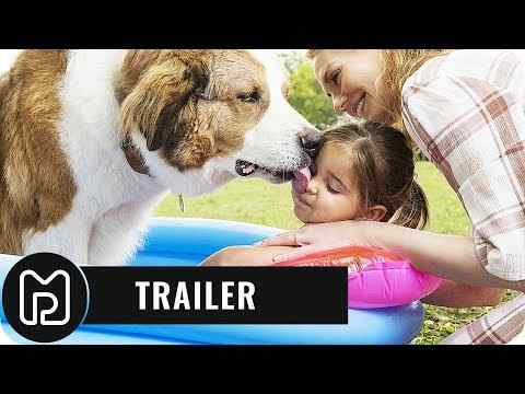 Bailey - Ein Hund kehrt zurück - trailer 1