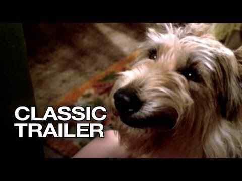 Because of Winn-Dixie - trailer