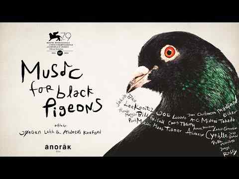 Music for Black Pigeons - trailer